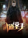 武道圣手在都市王潇