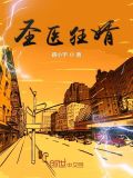 圣医狂婿 小说