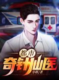 都市奇针仙医林紫怡
