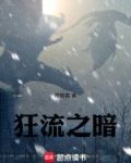 雨落狂流之暗