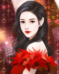 富豪女婿之护妻狂魔