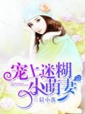 宠上迷糊小萌妻