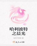 哈利波特之晨光